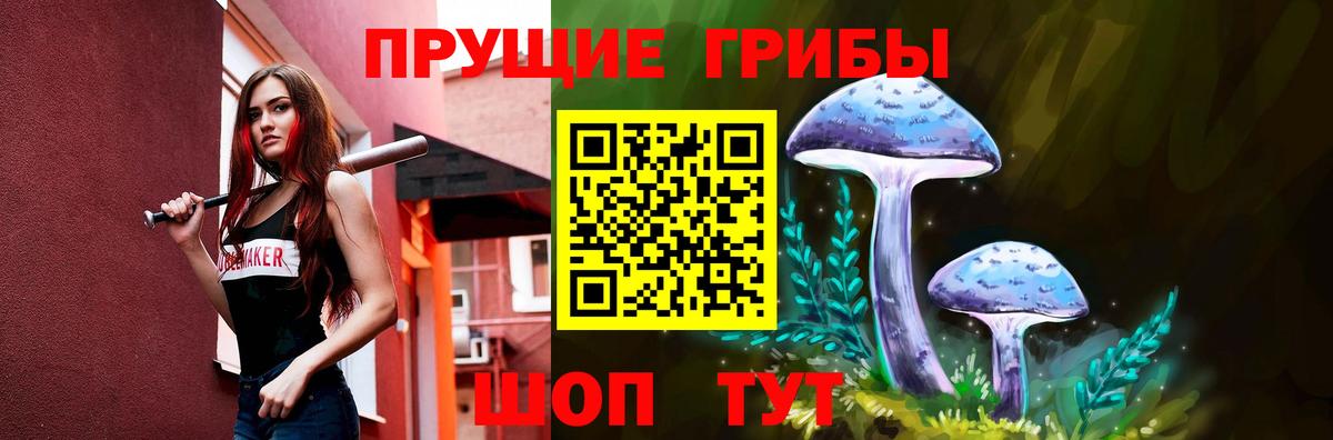 Галлюциногенные грибы Psilocybe Шатура